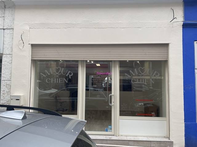 Enseigne & signalétique — Amour de Chien : enseigne vitrine toilettage canin