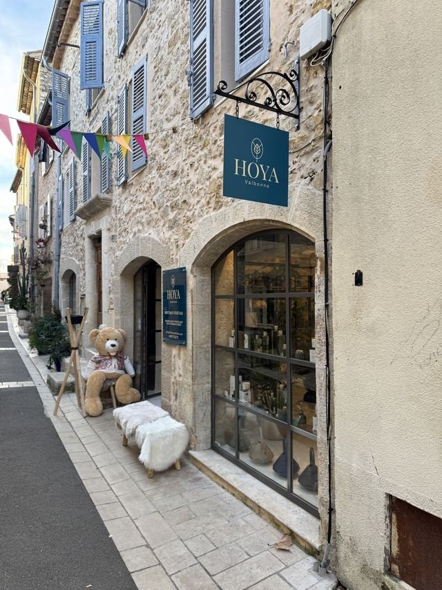 Enseigne & signalétique — Hoya Valbonne : enseigne drapeau potence