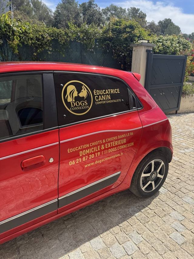 Marquage véhicule — Dogs Connexion : marquage voiture educatrice canin