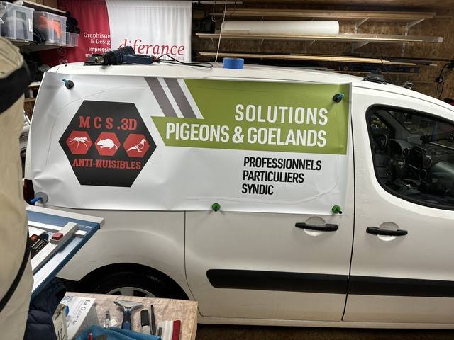 Marquage véhicule — MCS 3D : habillage utilitaire solutions pigeons goelands