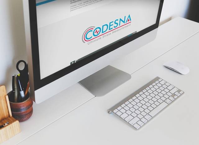 Site internet & SEO — Codesna : creation site internet dynamique